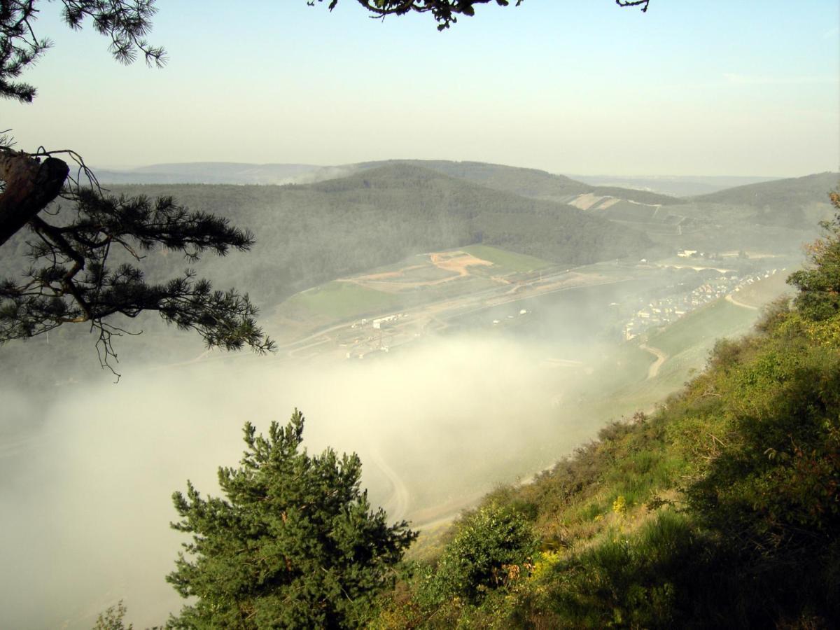 Weinstube Pension Moselbluemchen Цельтінґен-Рахтіґ Екстер'єр фото