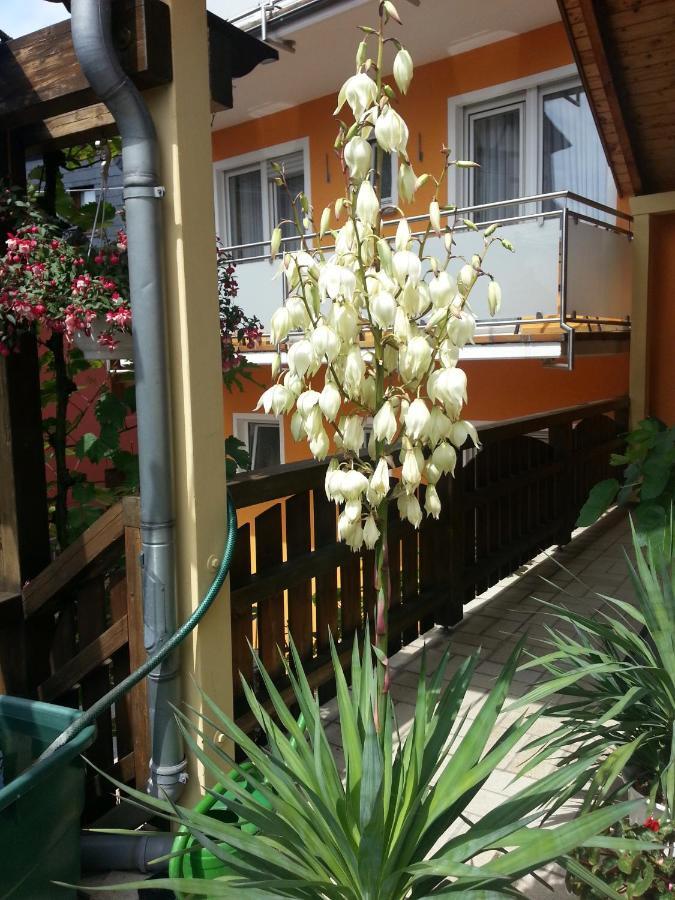 Weinstube Pension Moselbluemchen Цельтінґен-Рахтіґ Екстер'єр фото